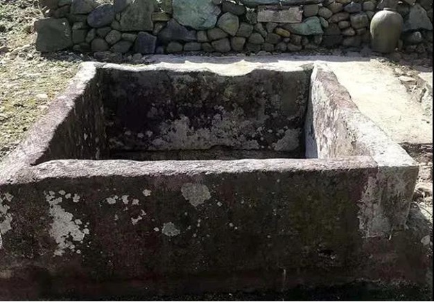 image.jpeg